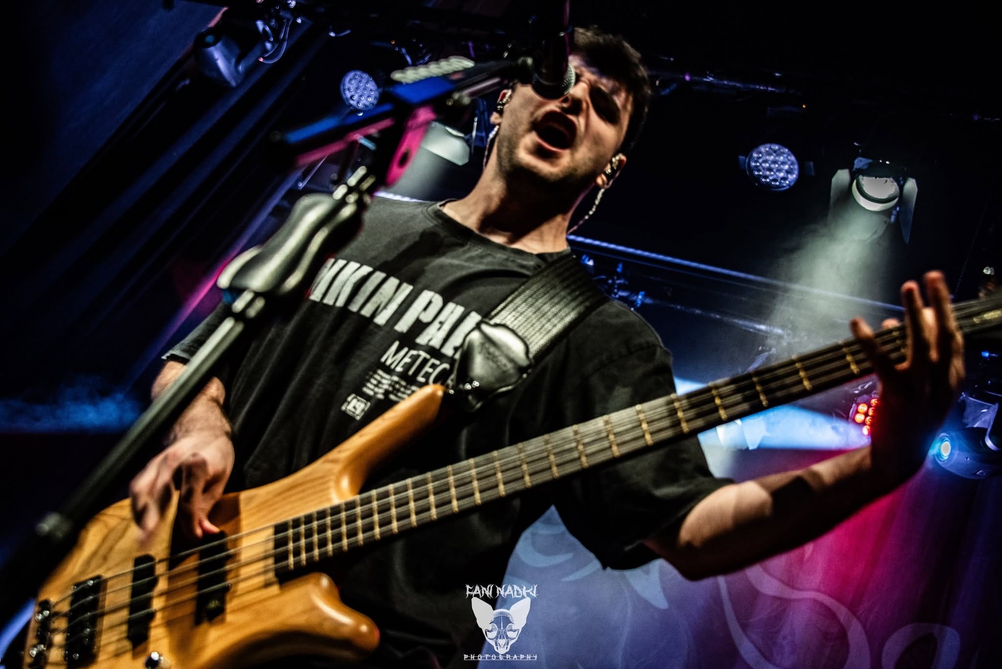 Photos from the show