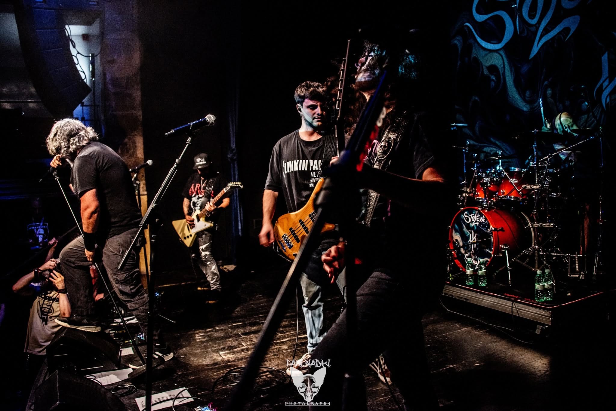 Photos from the show